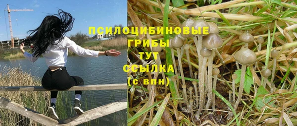 PSILOCYBIN Пролетарск