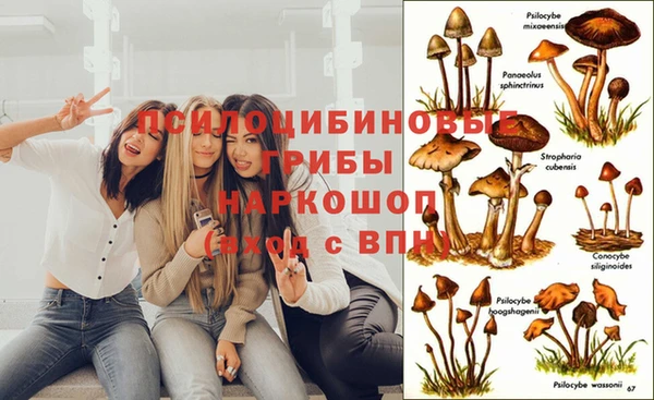 кокаин Алексин